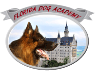 Florida Dog Academy