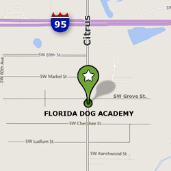 Our Location in Florida